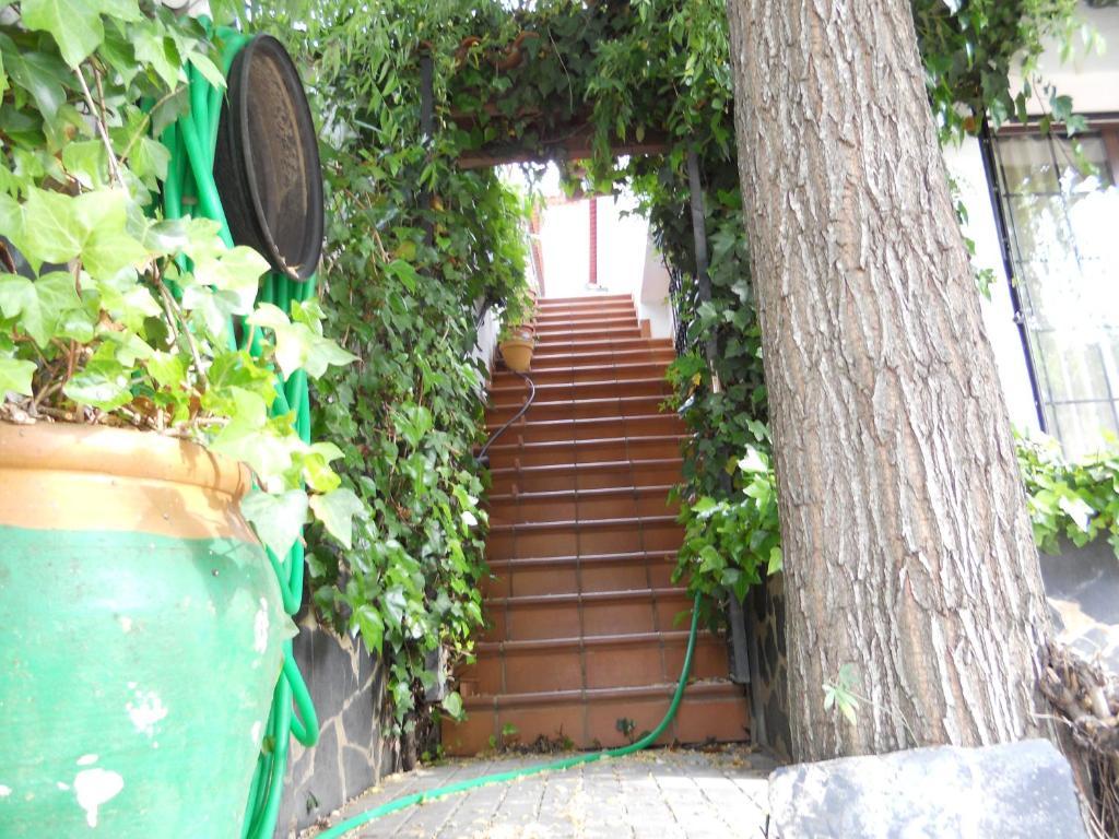 Pension Barrio Fuenteheridos Luaran gambar